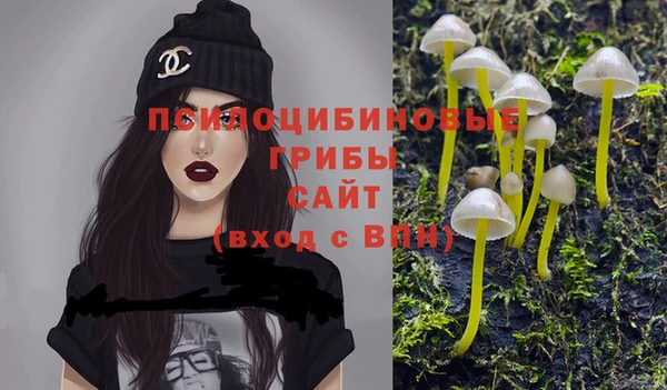 герыч Алзамай