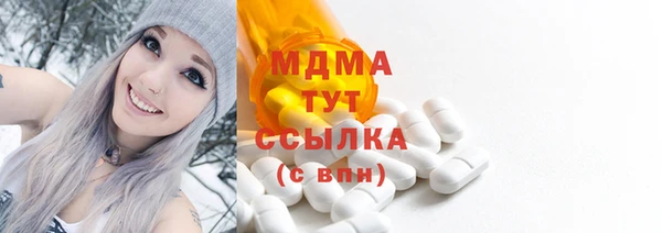 ешки Алексин