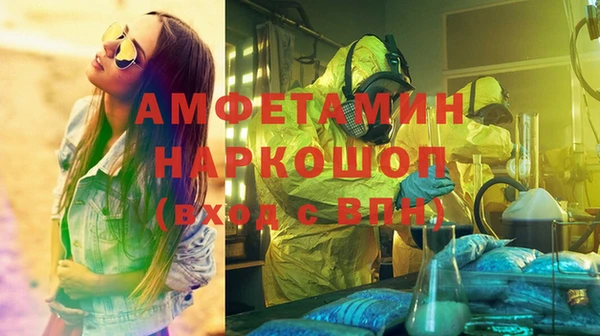 ешки Алексин