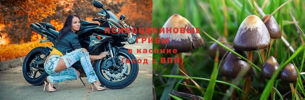 а пвп мука Алексеевка