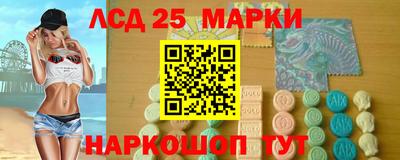 apvp Можга