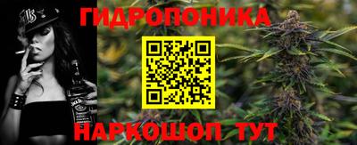 apvp Можга