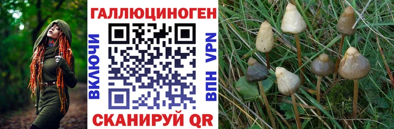 Псилоцибиновые грибы Magic Shrooms  Всеволожск 