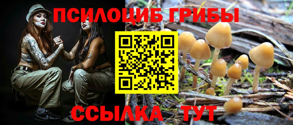 Галлюциногенные грибы Magic Shrooms Всеволожск