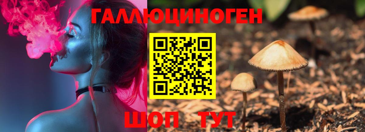 Псилоцибиновые грибы MAGIC MUSHROOMS  Вход с VPN  Псилоцибиновые грибы Psilocybine cubensis  Всеволожск 